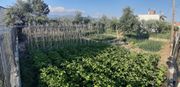 Land plot 360sqm for sale-Iera Poli Messologiou