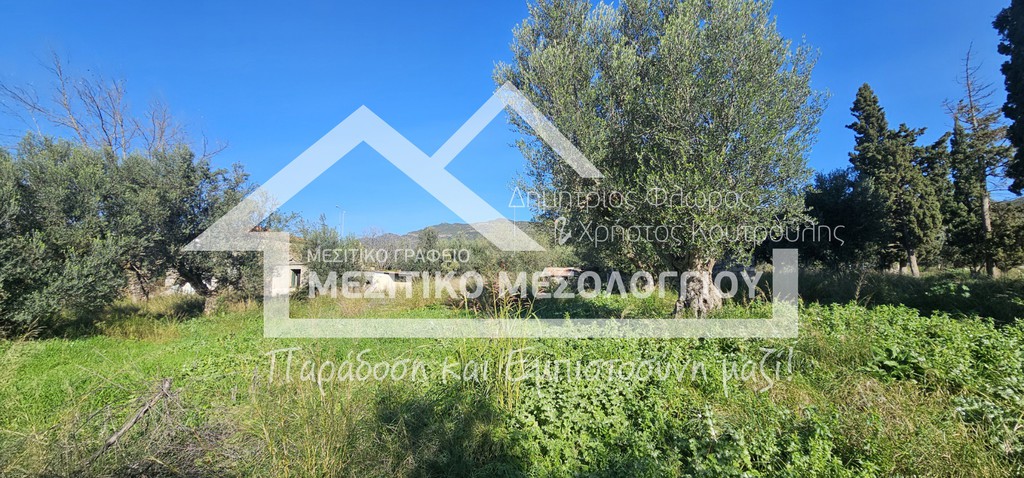 Οικόπεδο 4.000 τ.μ. πρός πώληση, Αιτωλοακαρνανία, Ιερά Πόλη Μεσολογγίου