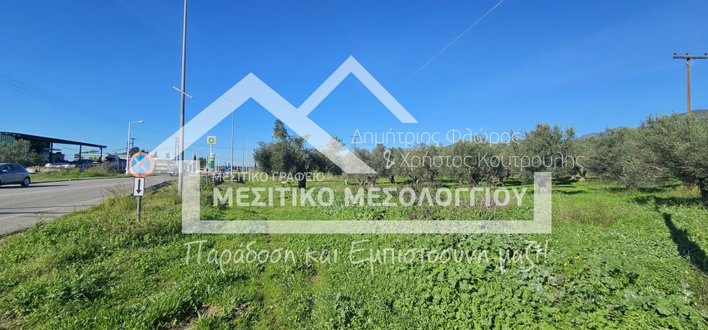 Οικόπεδο 4.000 τ.μ. πρός πώληση, Αιτωλοακαρνανία, Ιερά Πόλη Μεσολογγίου