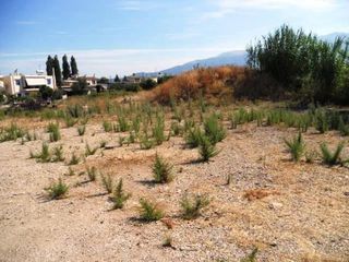 Οικόπεδο 9.500 τ.μ. για πώληση, Αχαΐα, Παραλία-thumb-8