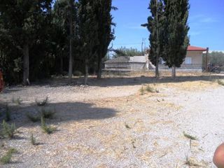 Οικόπεδο 9.500 τ.μ. για πώληση, Αχαΐα, Παραλία-thumb-10