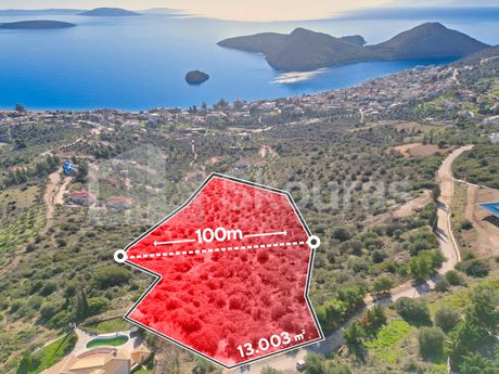 Αγροτεμάχια 13.003τ.μ. για πώληση-Ασίνη