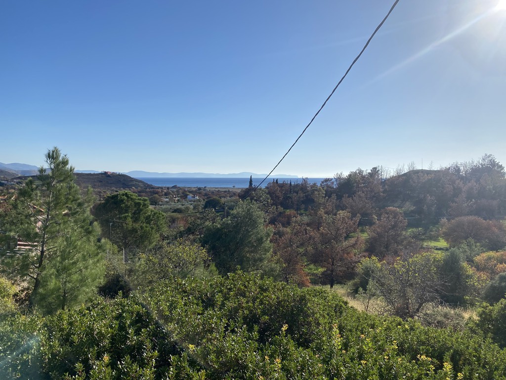 Οικόπεδο 678,95 τ.μ. προς πώληση, Αμάνη