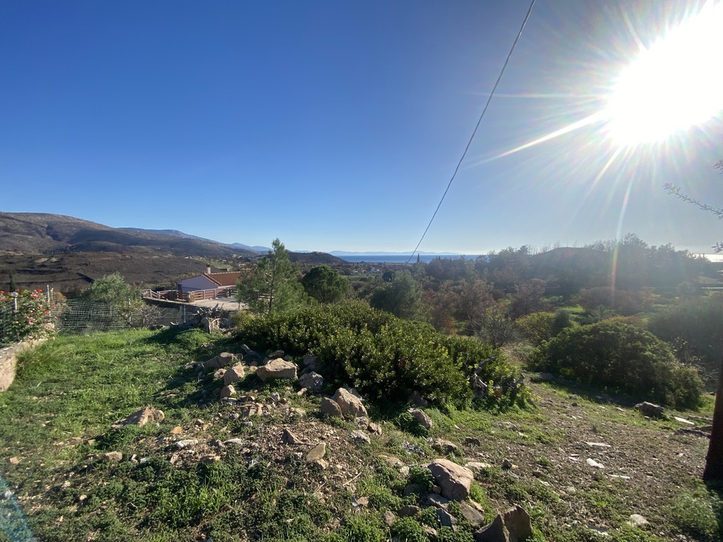 Οικόπεδο 678,95 τ.μ. προς πώληση, Αμάνη