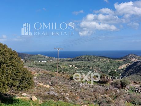 Αγροτεμάχια 5.360 τ.μ. για πώληση