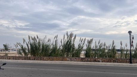 Οικόπεδο 1.184,52τ.μ. για πώληση-Χίος
