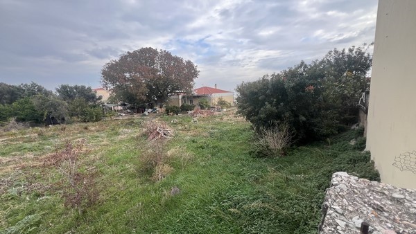 Οικόπεδο 1.184,52 τ.μ. προς πώληση, Πόλη Χίου