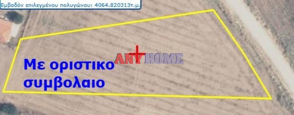 Αγροτεμάχια 4.000 τ.μ. προς πώληση, Νέα Ποτίδαια