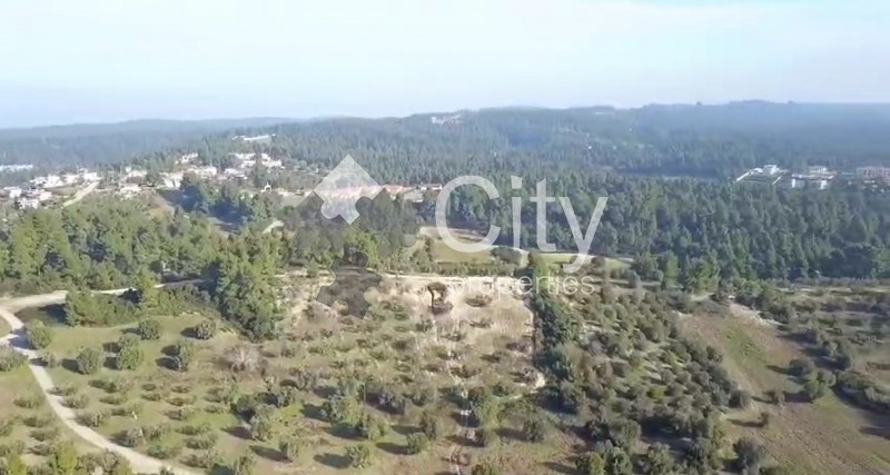 Οικόπεδο 40.000 τ.μ. πρός πώληση, Χαλκιδική, Κασσάνδρα