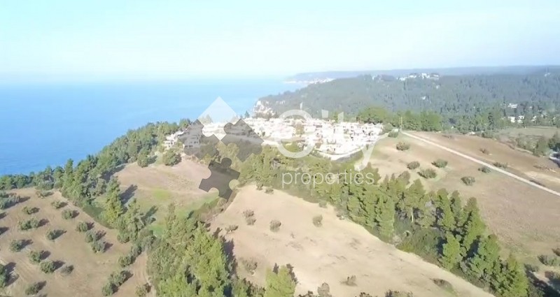 Οικόπεδο 40.000 τ.μ. πρός πώληση, Χαλκιδική, Κασσάνδρα