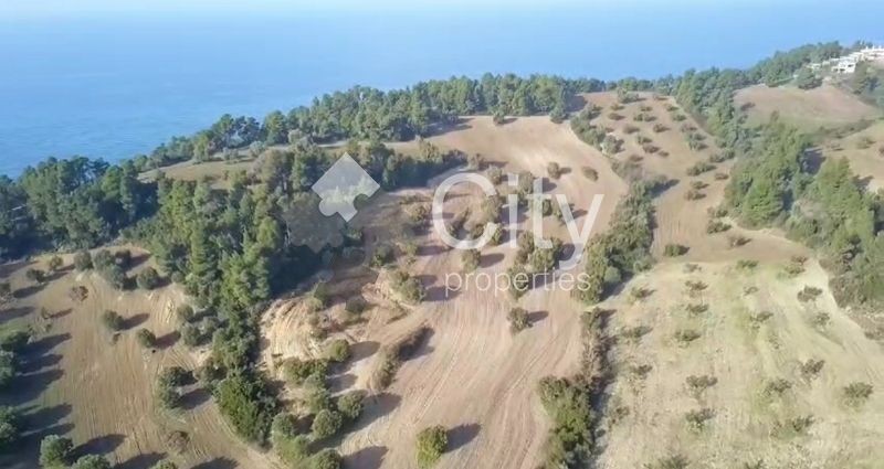 Οικόπεδο 40.000 τ.μ. πρός πώληση, Χαλκιδική, Κασσάνδρα