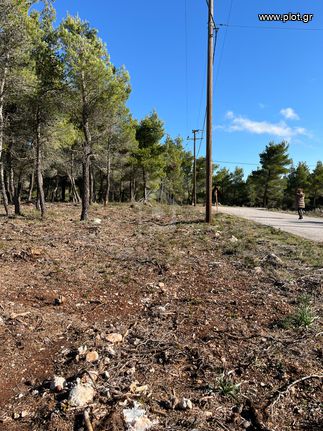 Αγροτεμάχια 4.175 τ.μ. για πώληση, Αττική - Υπόλοιπο, Βίλια