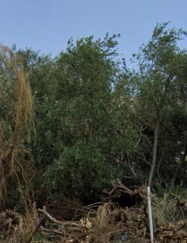 Οικόπεδο 372τ.μ. για πώληση-Καλύβια θορικού » Λαγονήσι