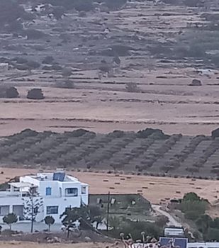 Οικόπεδο 8.500τ.μ. για πώληση-Πάρος » Παροικιά