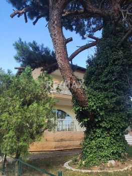 Μονοκατοικία 388 τ.μ. για πώληση