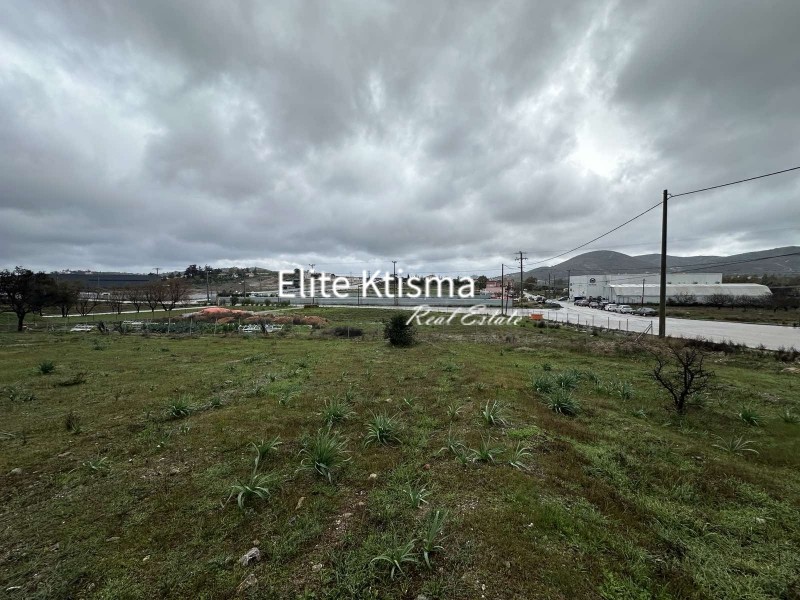 Οικόπεδο 2.071 τ.μ. πρός πώληση, Αττική - Υπόλοιπο, Κερατέα
