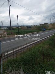Οικόπεδο 1.000 τ.μ. για πώληση