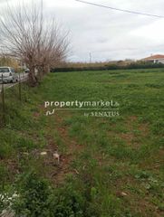 Οικόπεδο 1.000 τ.μ. για πώληση