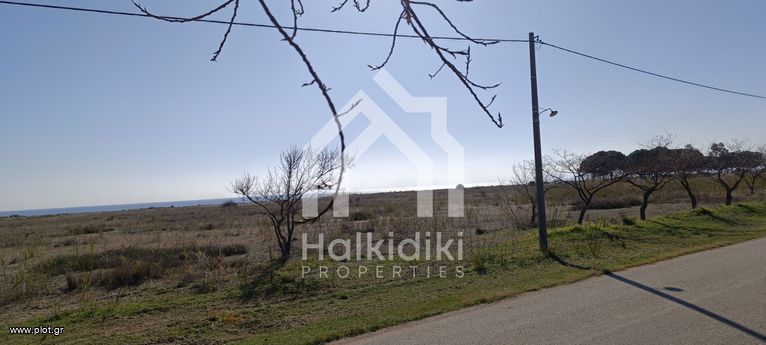 Αγροτεμάχια 4.054 τ.μ. για πώληση, Χαλκιδική, Τριγλία