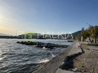 Οικόπεδο 292 τ.μ. για πώληση, Μαγνησία, Αγριά-thumb-17