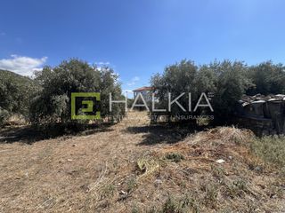 Οικόπεδο 292 τ.μ. για πώληση, Μαγνησία, Αγριά-thumb-6