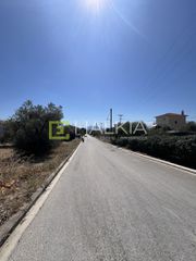 Οικόπεδο 292 τ.μ. για πώληση, Μαγνησία, Αγριά-thumb-10