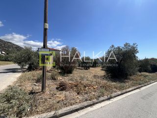 Οικόπεδο 292 τ.μ. για πώληση, Μαγνησία, Αγριά-thumb-8