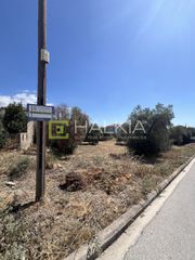 Οικόπεδο 292 τ.μ. για πώληση, Μαγνησία, Αγριά-thumb-7