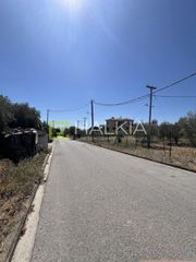 Οικόπεδο 292 τ.μ. για πώληση, Μαγνησία, Αγριά-thumb-14