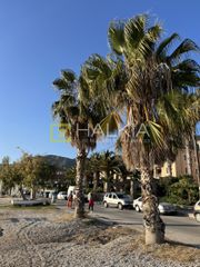 Οικόπεδο 292 τ.μ. για πώληση, Μαγνησία, Αγριά-thumb-18