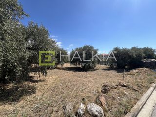 Οικόπεδο 292 τ.μ. για πώληση, Μαγνησία, Αγριά-thumb-3