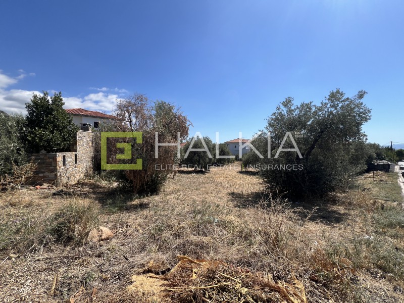 Οικόπεδο 292 τ.μ. πρός πώληση, Μαγνησία, Αγριά