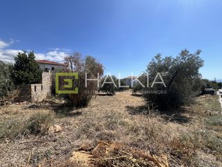 Οικόπεδο 292 τ.μ. για πώληση, Μαγνησία, Αγριά-thumb-4