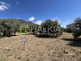 Land plot 292 sqm for sale
