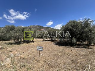 Οικόπεδο 292 τ.μ. για πώληση, Μαγνησία, Αγριά-thumb-1