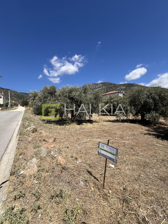 Οικόπεδο 292 τ.μ. πρός πώληση, Μαγνησία, Αγριά