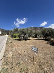 Οικόπεδο 292 τ.μ. για πώληση, Μαγνησία, Αγριά-thumb-2