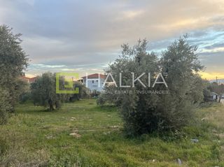 Οικόπεδο 400 τ.μ. για πώληση, Μαγνησία, Αγριά-thumb-2