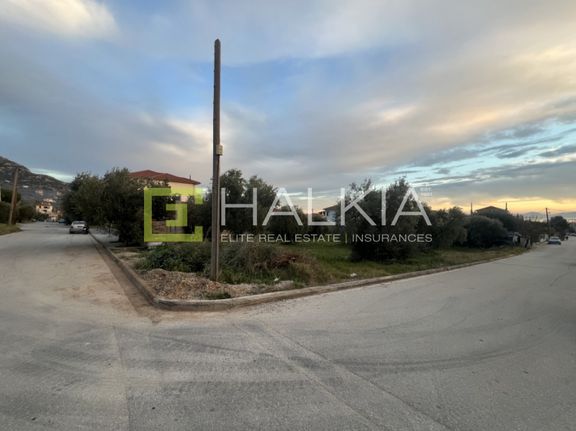 Οικόπεδο 400 τ.μ. για πώληση, Μαγνησία, Αγριά