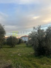 Οικόπεδο 400 τ.μ. για πώληση, Μαγνησία, Αγριά-thumb-3