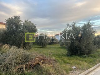 Οικόπεδο 400 τ.μ. για πώληση, Μαγνησία, Αγριά-thumb-1