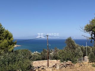 Αγροτεμάχια 1.100 τ.μ. για πώληση