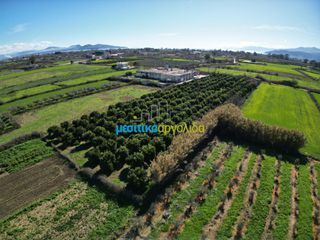 Αγροτεμάχια 7.775 τ.μ. για πώληση, Αργολίδα, Άργος-thumb-5