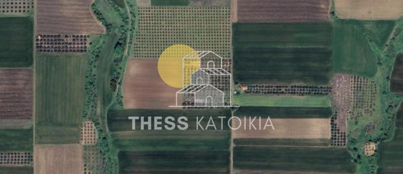 Αγροτεμάχια 4.000 τ.μ. προς πώληση, Μεσημέρι Επανομής