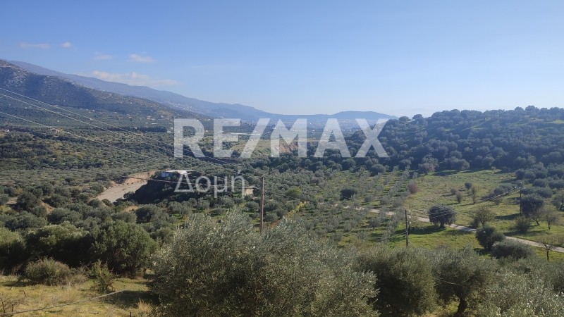 Μονοκατοικία 39,85 τ.μ. πρός πώληση, Μαγνησία, Μακρινίτσα