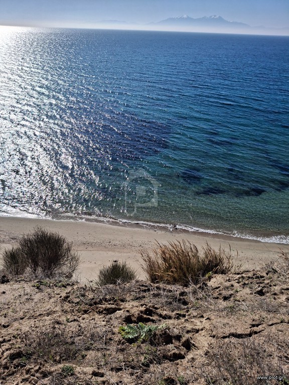 Αγροτεμάχια 2.800 τ.μ. προς πώληση, Χαλκιδική, Καλλικράτεια
