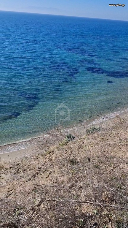 Αγροτεμάχια 2.800 τ.μ. προς ενοικίαση, Χαλκιδική, Καλλικράτεια