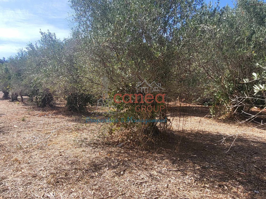 Οικόπεδο 1.282 τ.μ. προς πώληση, Άγιος Παύλος Βάμου