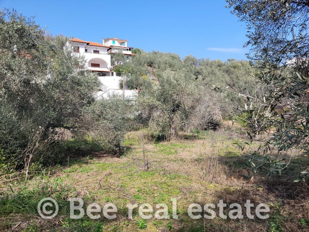 Οικόπεδο 300 τ.μ. πρός πώληση, Μαγνησία, Πτελεός