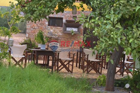 Apartment 69sqm for rent-Galaxidi